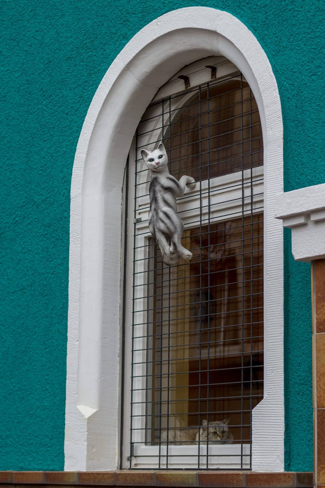 Rundbogenfenster mit Katzengitter in einer türkisen Hauswand