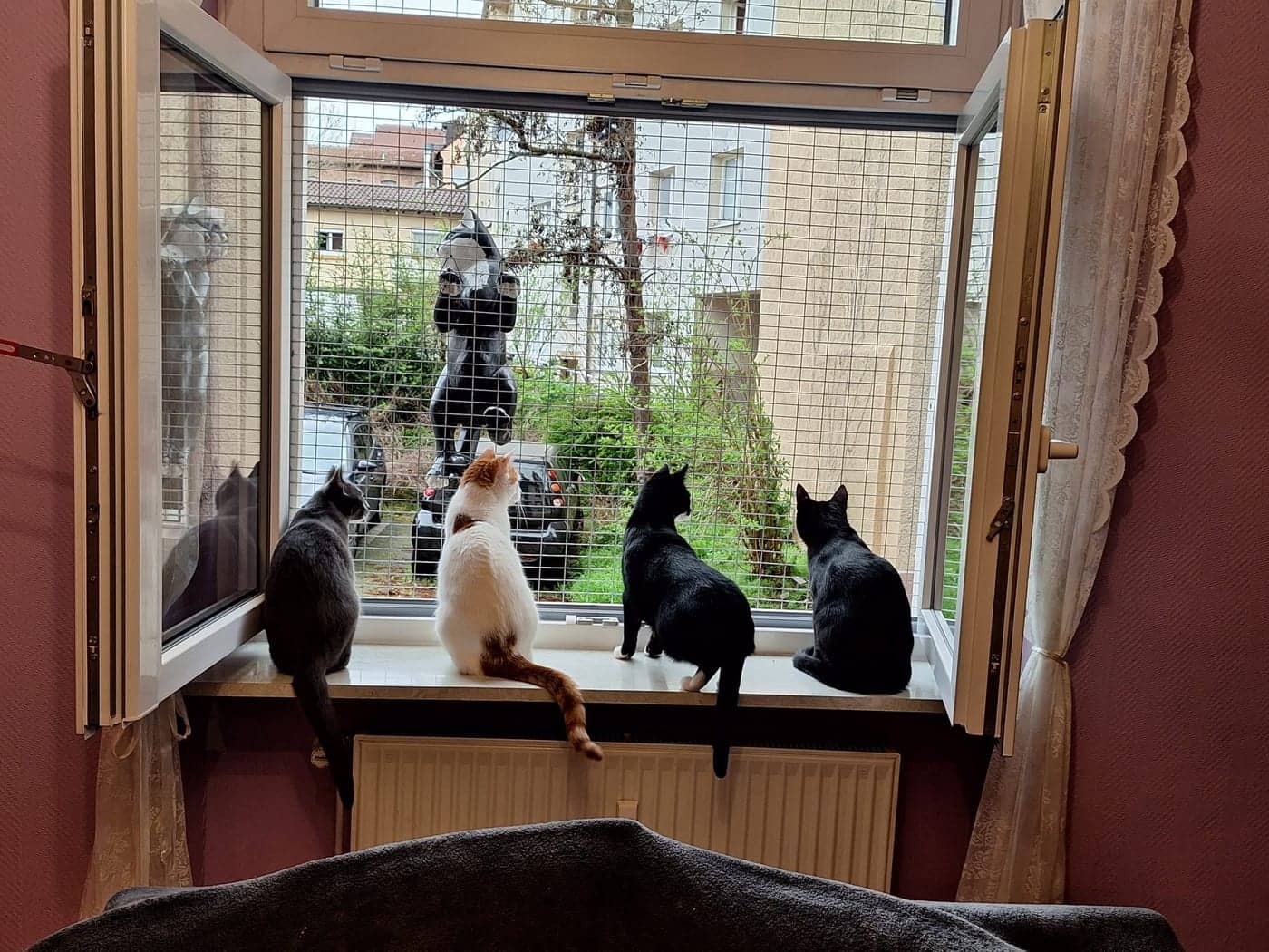 The GANG